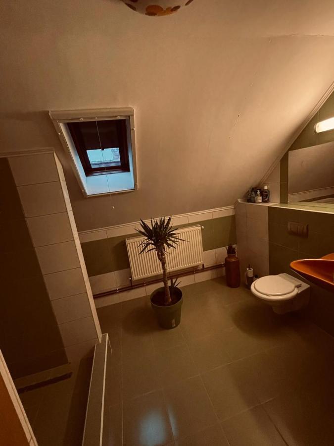 Casa Verde Foeni Ngoại thất bức ảnh